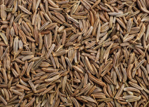 Cumin Seeds